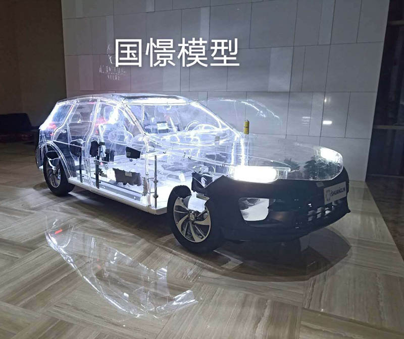 平和县透明车模型